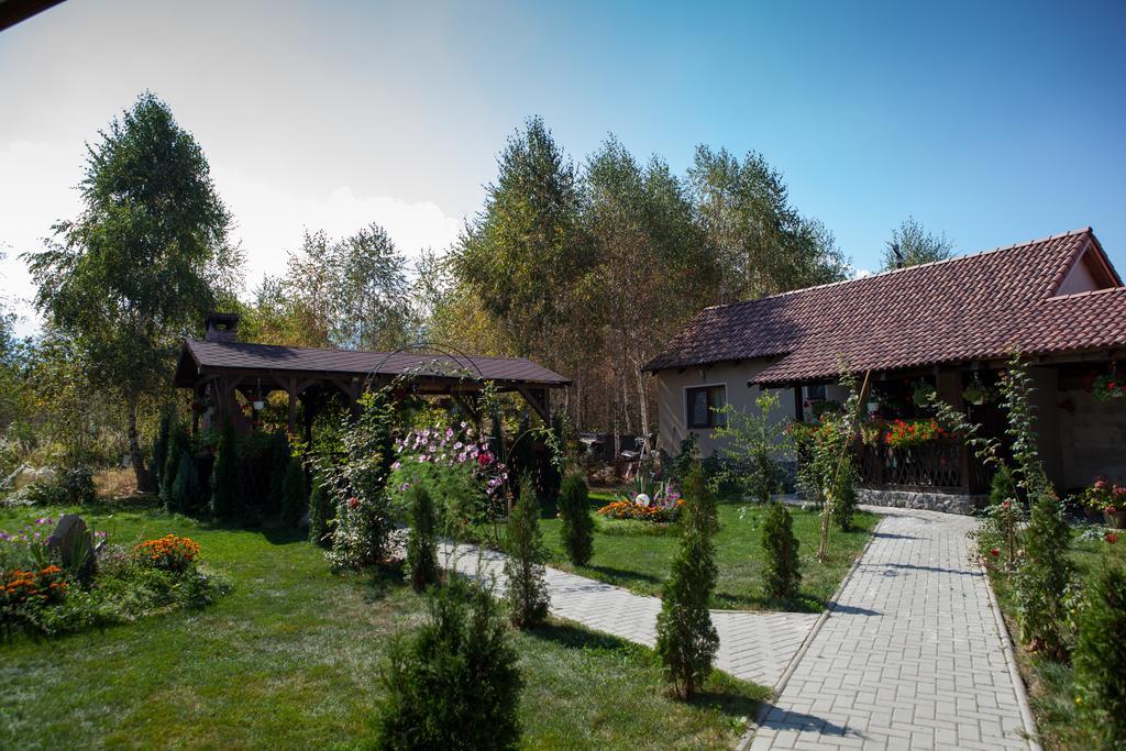 Pensiunea Royal Garden Otel Sîmbăta de Sus Dış mekan fotoğraf