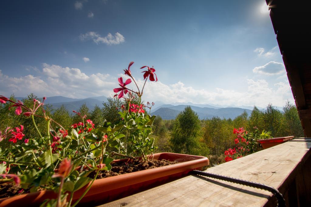 Pensiunea Royal Garden Otel Sîmbăta de Sus Dış mekan fotoğraf